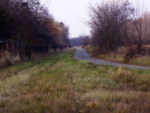 Foto 52
